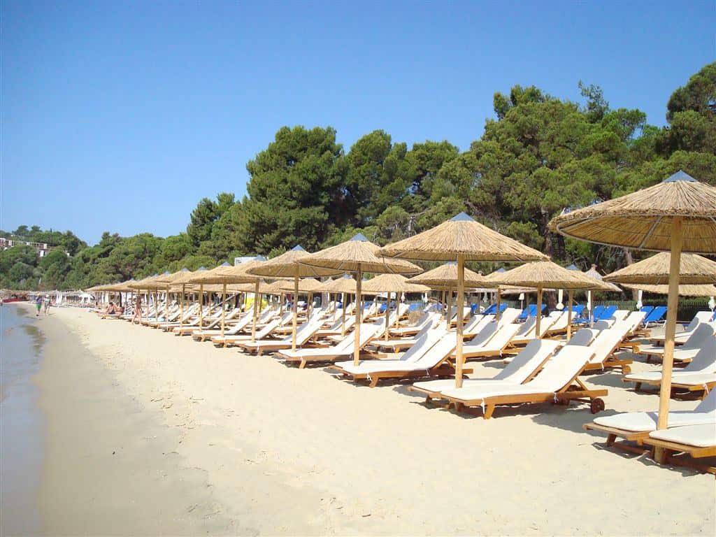 Sunbeds and stone pine trees in oukounaries beach, Skitahos, Greece