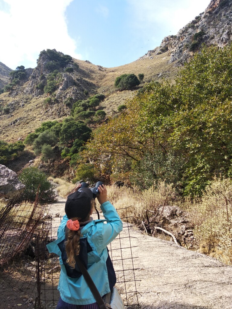 a girl watching birds with binoculars in Deliana gorge Crete